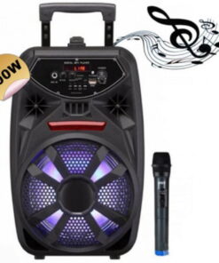 BLUETOOTH ΗΧΕΙΟ KARAOKE PK-09L – 300W