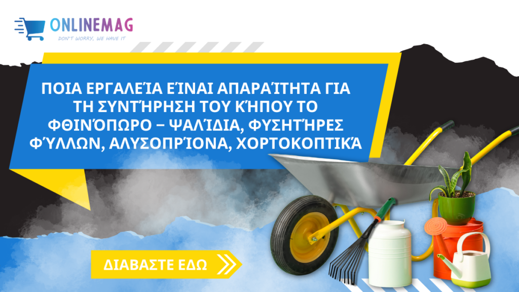 Ποια εργαλεία είναι απαραίτητα για τη συντήρηση του κήπου το φθινόπωρο – ψαλίδια, φυσητήρες φύλλων, αλυσοπρίονα, χορτοκοπτικά