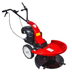 RAIDER Αυτοκινούμενος καταστροφέας βενζίνης 4hp RD-DM01 075017